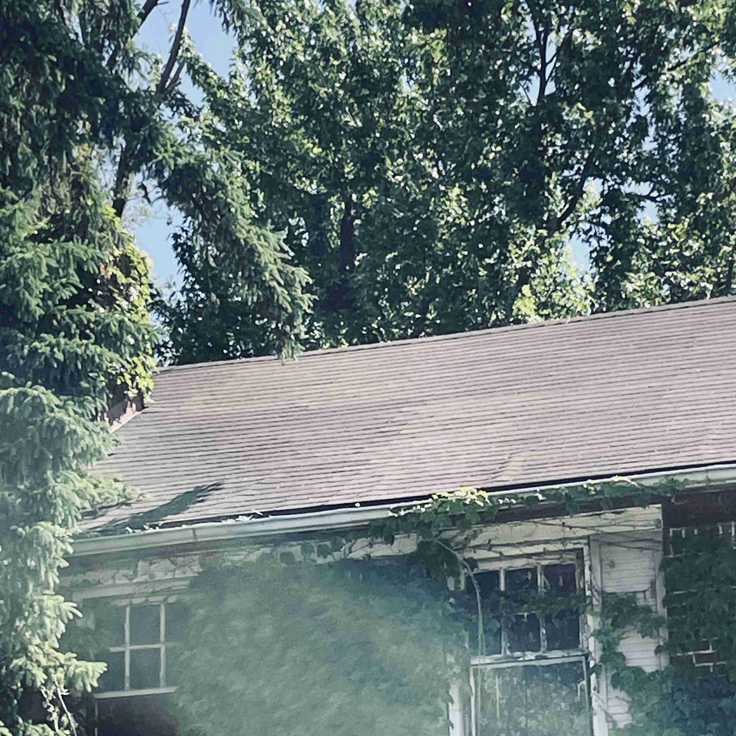 14910 Robson (5).jpg